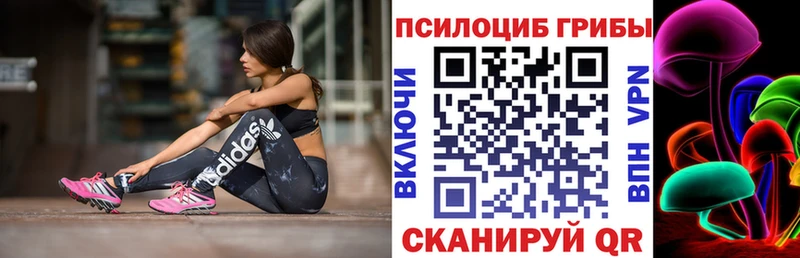 наркошоп  Ревда  Галлюциногенные грибы Cubensis 
